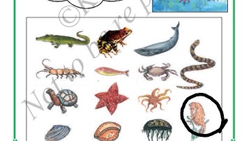 The family of water EVS class 3 full lesson explanation and textbook activities /Karnataka syllabus