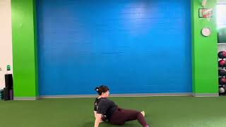Seated Side to Side Knee Drops