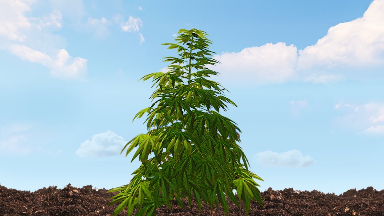 #RUST  농사 가이드