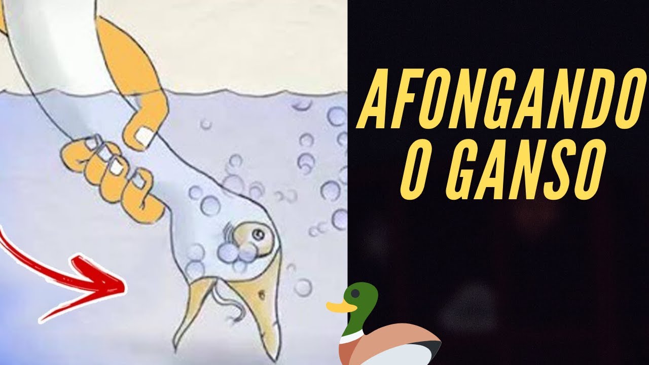 Filha quer saber o que significa afogar o ganso - YouTube