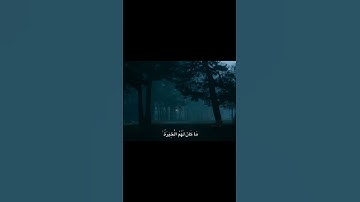 وَرَبُّكَ يَخْلُقُ مَا يَشَاءُ وَيَخْتَارُ مَا كَانَ لَهُمُ الْخِيَرَةُ | المنشاوي | سورة القصص