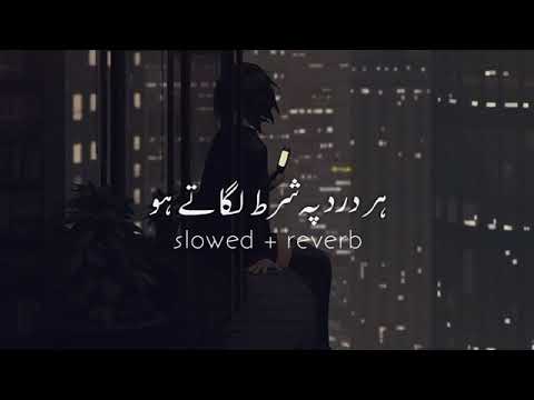 Har Dard Pe Shart Lagate Ho (slowed+reverb) | Sehar Gul Khan | Awaz Na Nikle Siskiyon Ki Taqdeer Os