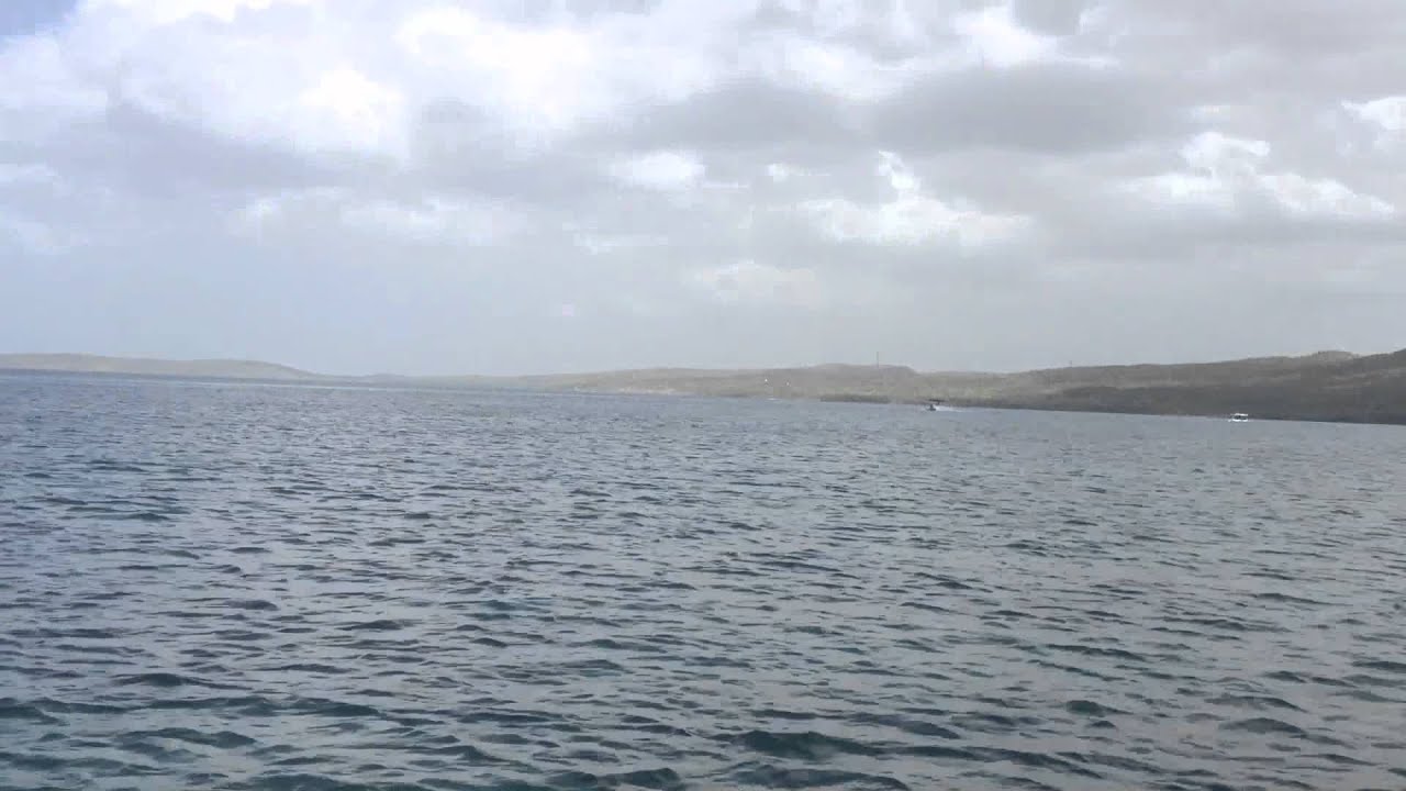 TRyHaRDgaMeRx Goes To Puerto Rico!