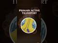 Primary Active Transport