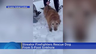 Streator Firefighters Rescue Dog From 5-Foot Sinkhole