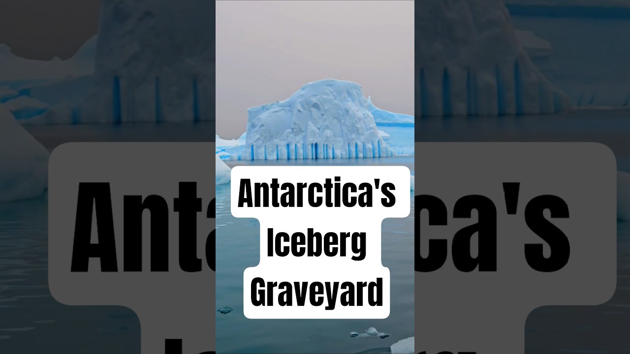 Antarctica's Iceberg Graveyard #antarctica #cruise #adventure #ice #iceberg #travel #polartravel