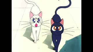 Sailor Moon - Capitulo 69 (1/2)