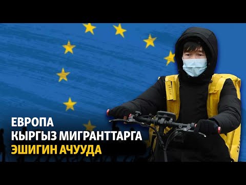 Video: Эринге суук тийгенде кандай майлар тез айыгат