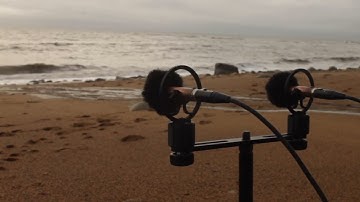 Coastal Beach Atmosphere and Soundscape Recording - Stereo Pair Field Recording