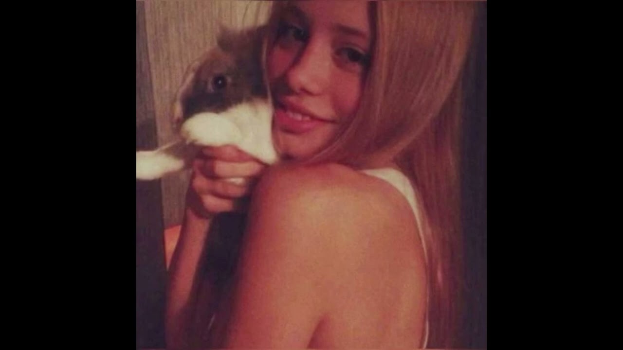 FREE FOR PROFIT rexv2 + blackeddy type beat - WIT U