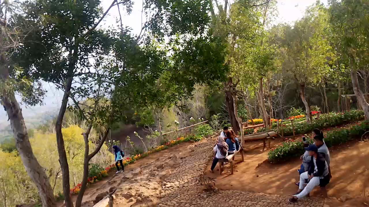 Taman bunga Hutan pinus mangunan dlingo bantul jogjakarta ...