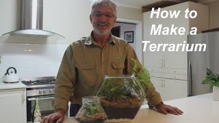How to Make a Terrarium