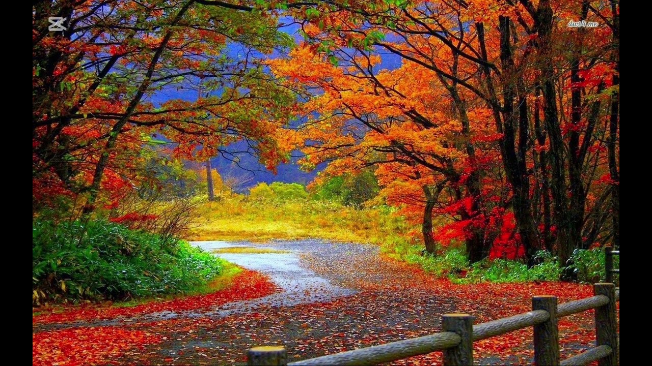 Nadiriler Mehmet İnan 