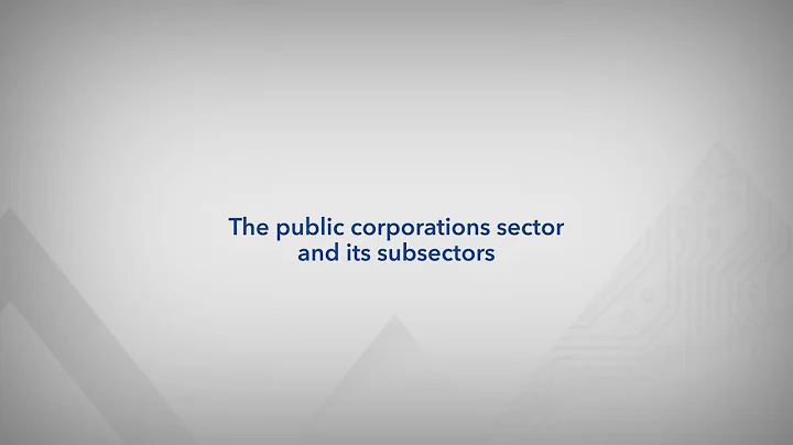 The public corporations sector and its subsectors