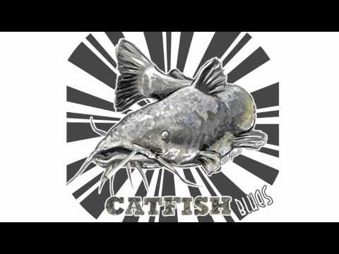 Stone Rider -- Catfish Blues -- Live