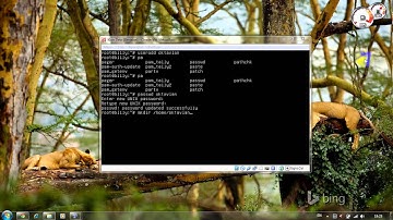 Add User And User Add Di Debian