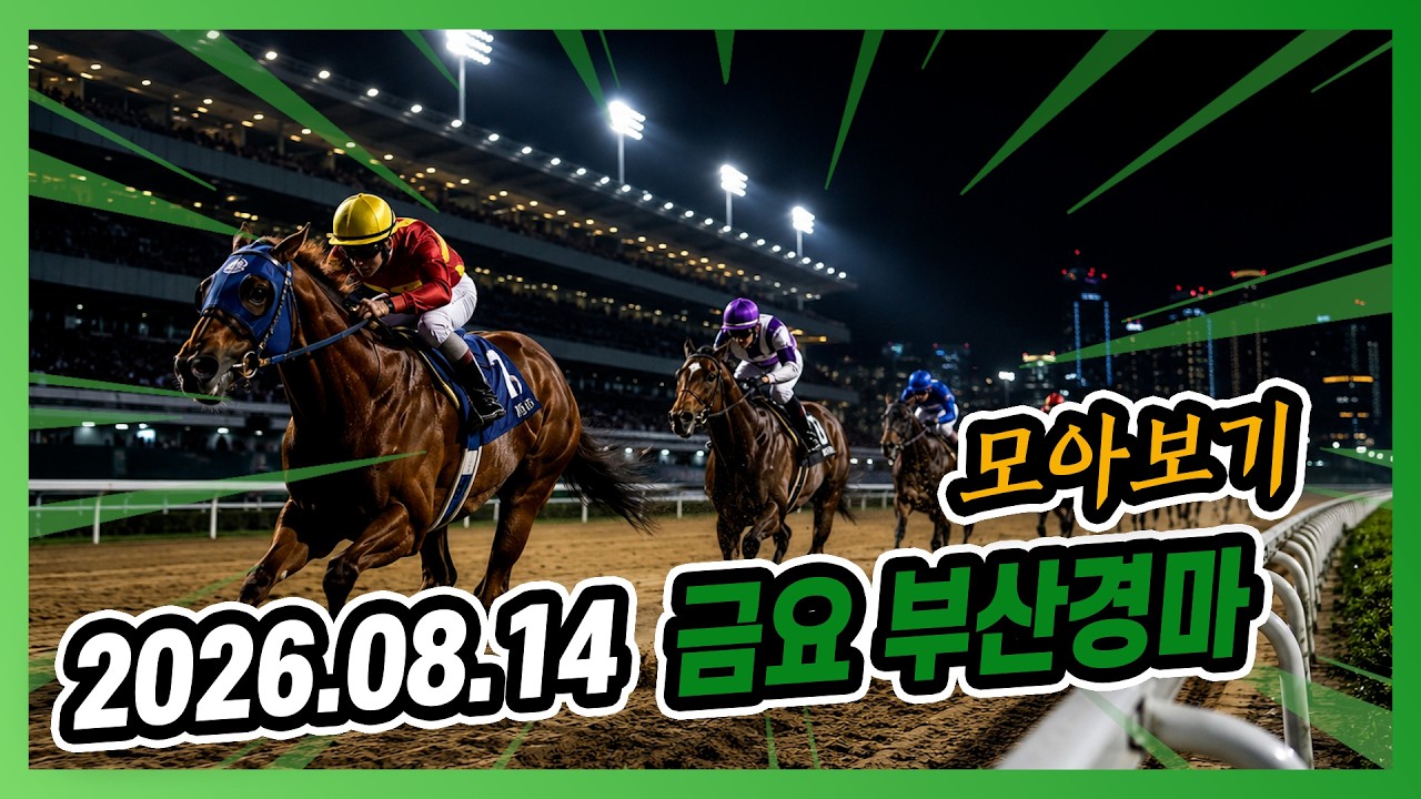 2026년 8월 14일 금요 부산경마 전체경주 모아보기