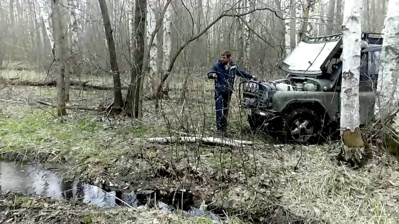 Нива в лесу