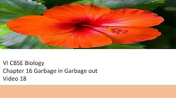 Vi Cbse Biology Video 18 Chapter 16 Garbage in Garbage Out