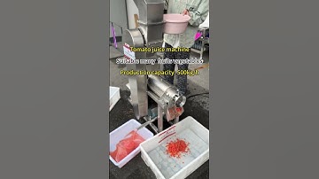 Tomato juice machine