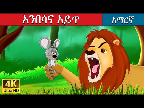 አንበሳና አይጥ Lion And Mouse In Amharic Amharic Story For Kids Amharic Fairy Tales