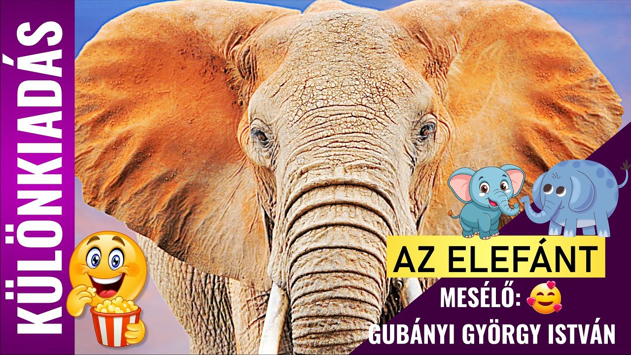 AZ ELEFÁNT - Különkiadás 🥰 - Gubányi György István hangjával 🍿🎉 😊 | Állatok gyerekeknek