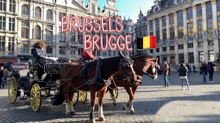 رحلتي إلى بلجيكا ، هل تستحق الزيارة 🇧🇪؟ Who Says Belgium is Boring