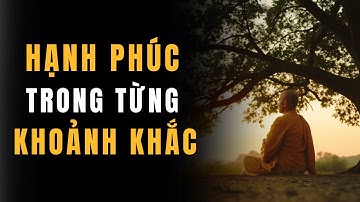 HẠNH PHÚC TRONG TỪNG KHOẢNH KHẮC: LÀM THẾ NÀO ĐỂ SỐNG TRỌN VẸN? | THUYẾT NHÂN SINH