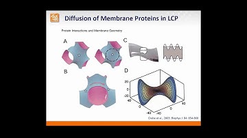 LCP FRAP Design and Analysis