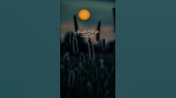 تلاوة مريحة للقارئ شريف مصطفى🤍. #quran #قرآن #قران_كريم #راحة_نفسية