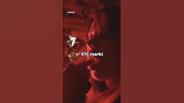 Hoe NL XTC markt wereldwijd domineert 🌍💊