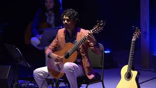 The art of Guitar 2026 "Live Stream" see info below