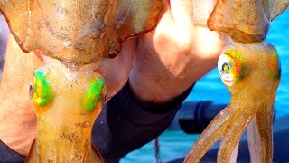SQUID FISHING at it's BEST!