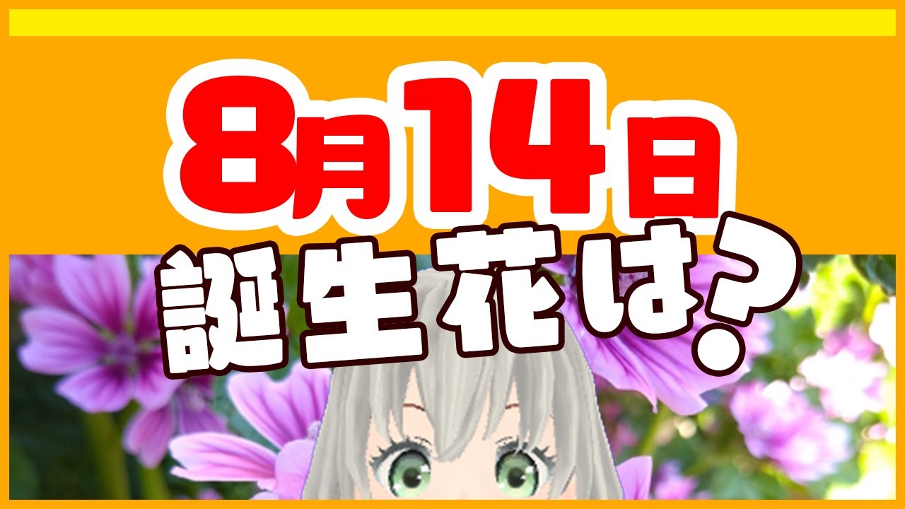 花言葉 8月14日の誕生花は 花白もか Youtube