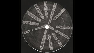 Basic Channel - Phylyps Track II/II (1994 - Basic Channel - BC 09)
