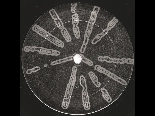 Basic Channel - Phylyps Track II/II (1994 - Basic Channel Basic Channel - Phylyps Track II/II (1994 - Basic Channel