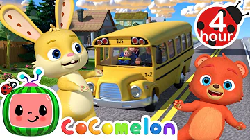 Let's Sing The Wheels on the Bus + More | Cocomelon - Nursery Rhymes | Fun Cartoons For Kids