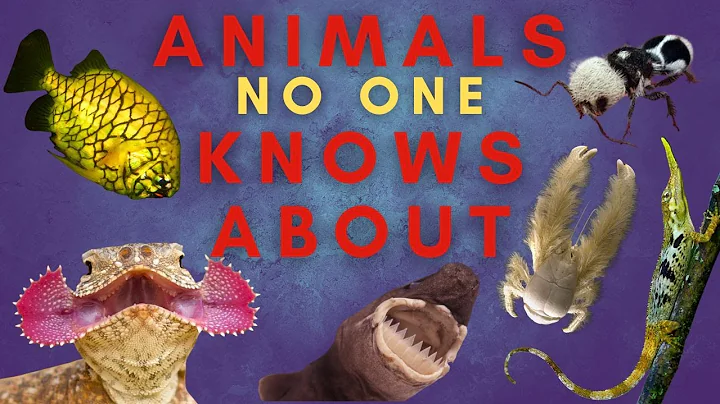 25 Animals You Haven't Heard Of...Maybe - Part Three