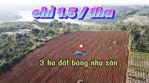 ✅️ hàng hiếm còn sót lại 3 ha đất bằng như sân .Ô tô tận nơi gần qlo chỉ 1.5 tỹ / 1ha tổng 3ha .