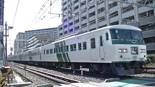 JR東海道本線185系C3編成+A8編成特急「踊り子」東京行き 川崎－鶴見の踏切通過