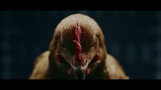 Mercedes Benz “Chicken” MAGIC BODY CONTROL TV commercial