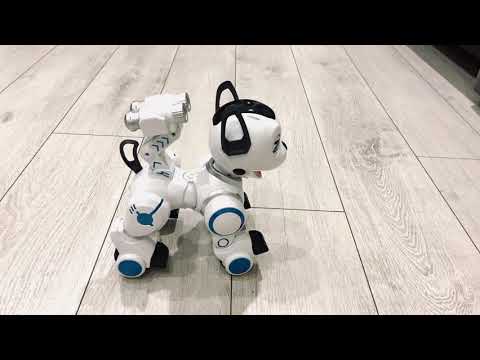 Собака-робот Игрушка Wow!dog k10