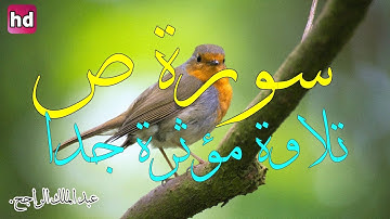 سورة ص🎧💚تلاوة جميلة جدا 💚بصوت خاشع ورائع 💚عبد الملك الراجح.