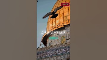 #القران الكريم#الشيخ ياسر الدوسري #اسف على التاخير#تدبر
