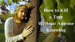 How To Kill A Tree Without Anyone Knowing  How To Kill A Tree  Journey To Sustainability