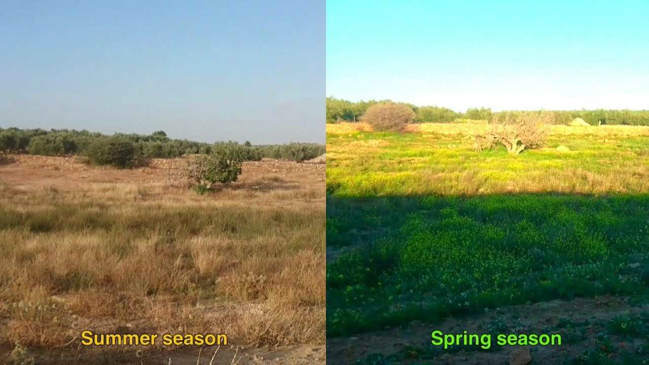 The difference between summer and spring is in the same place - YouTube