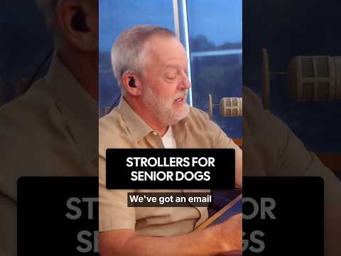 Strollers For Senior Dogs