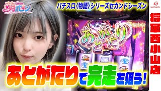 【こはる】萌えセン~パチスロ〈物語〉シリーズ セカンドシーズン~【将軍西小山店#44】 【こはる】萌えセン~パチスロ〈物語〉シリーズ セカンドシーズン~【将軍西小山店#44】