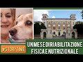 Un mese di riabilitazione fisica e nutrizionale a villa igea di forl deboramenozzi storytime