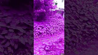 Dh Dm Dm Dj Dj Fb Gk Is Hd Ff Kryydfncdjg Dj Dj Fb Fb Id Dj Is Dj Th Dj Is Gm In